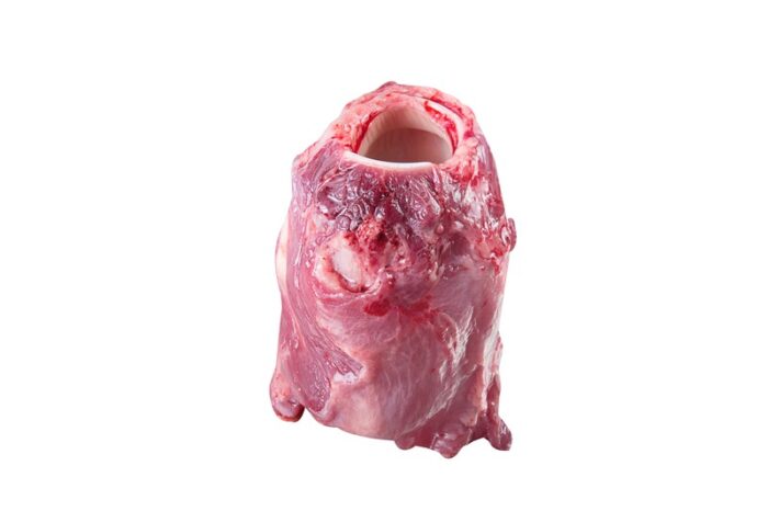 Bovine Glottis - Image 1