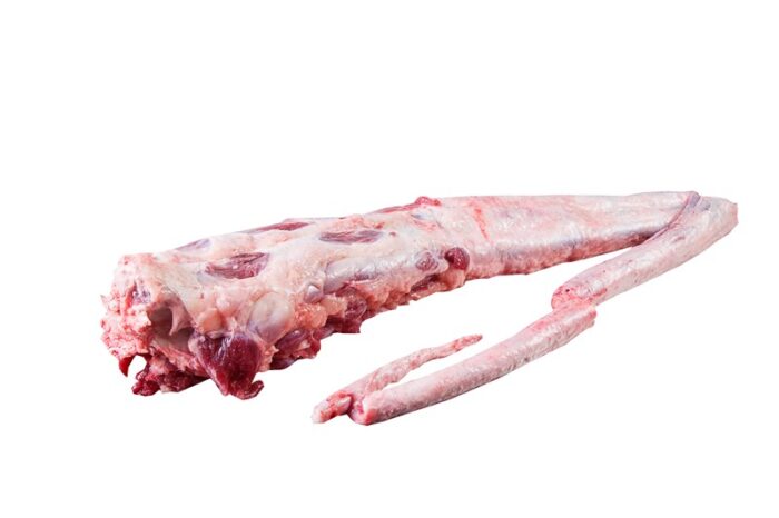 Rabo / Tail - Image 1