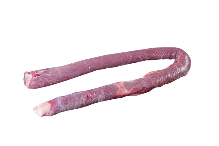 Esôfago / Oesophagus - Image 1