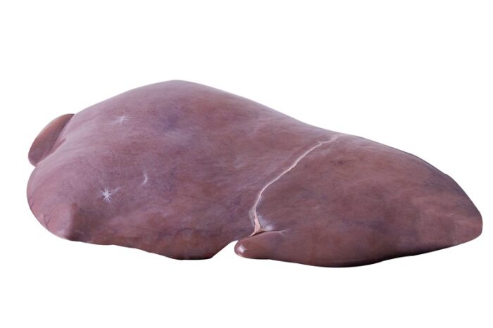 Fígado / Liver - Image 1