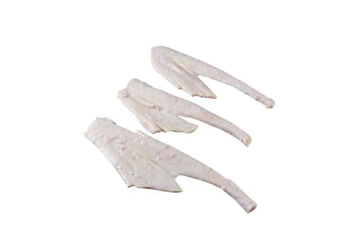 Ligamento Cervical / Paddywack - Image 1