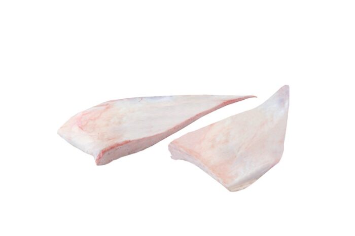 Cartilagem / Cartilage - Image 1