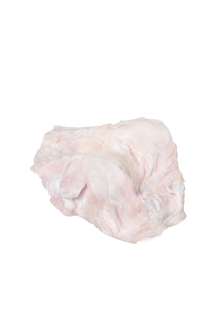 Rótula / Bovine Patella - Image 1