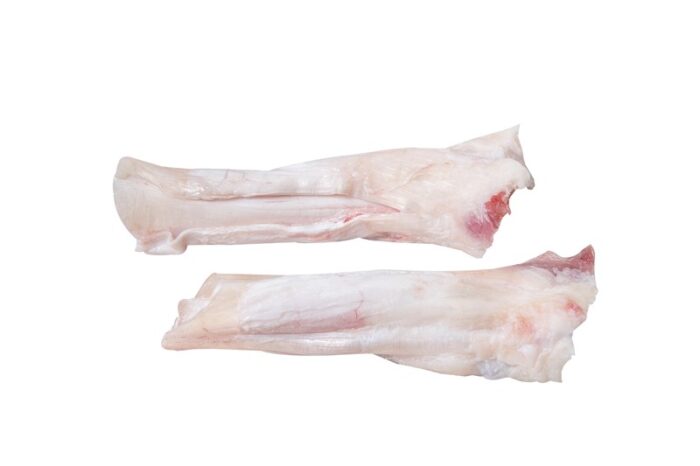 Tendão / Tendon - Image 1