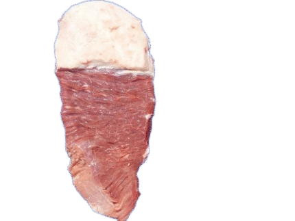 Fralda / Thin Flank