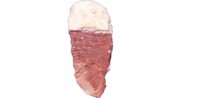 Fralda / Thin Flank - Image 1